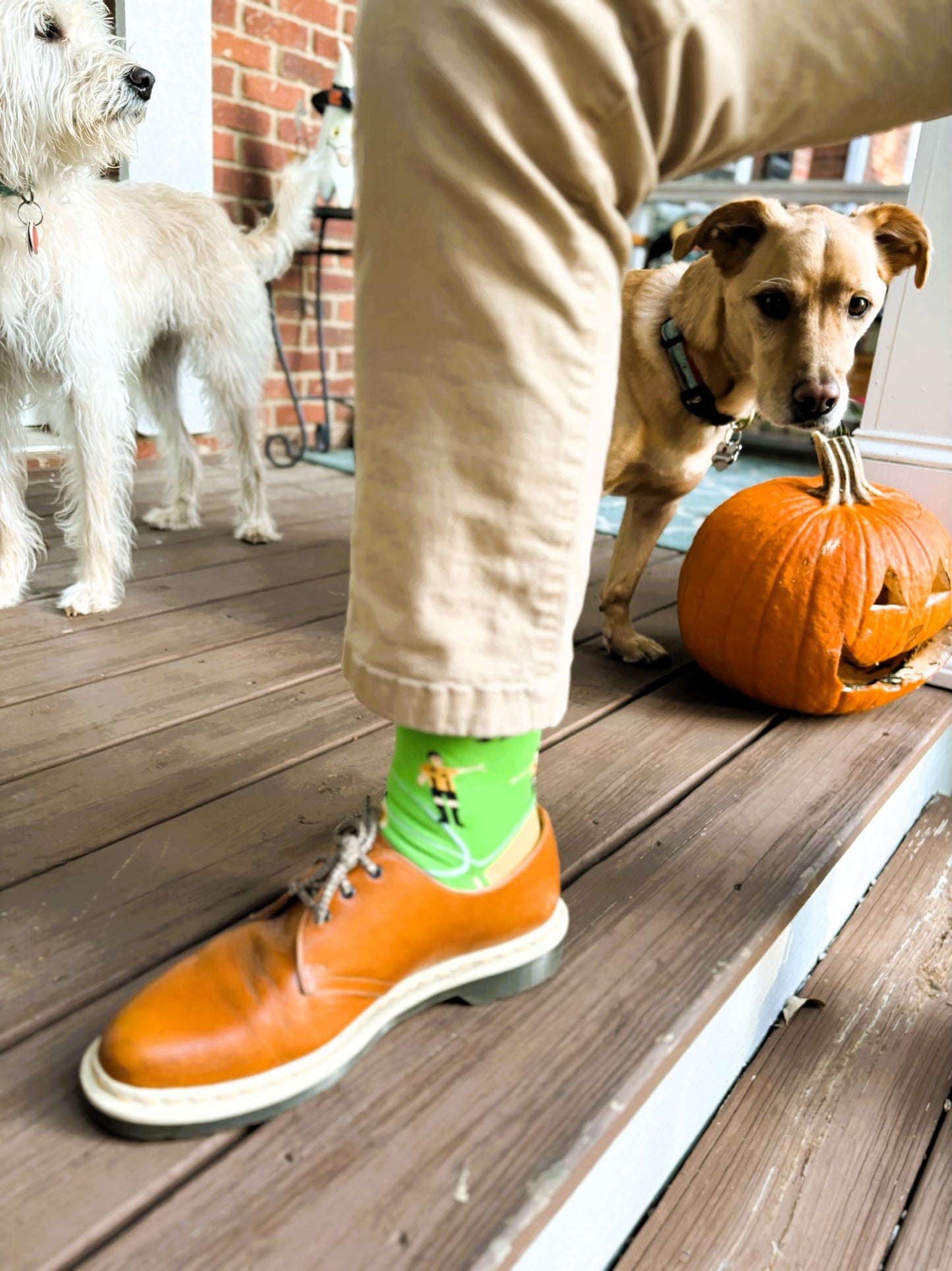 FUN Ref Socks